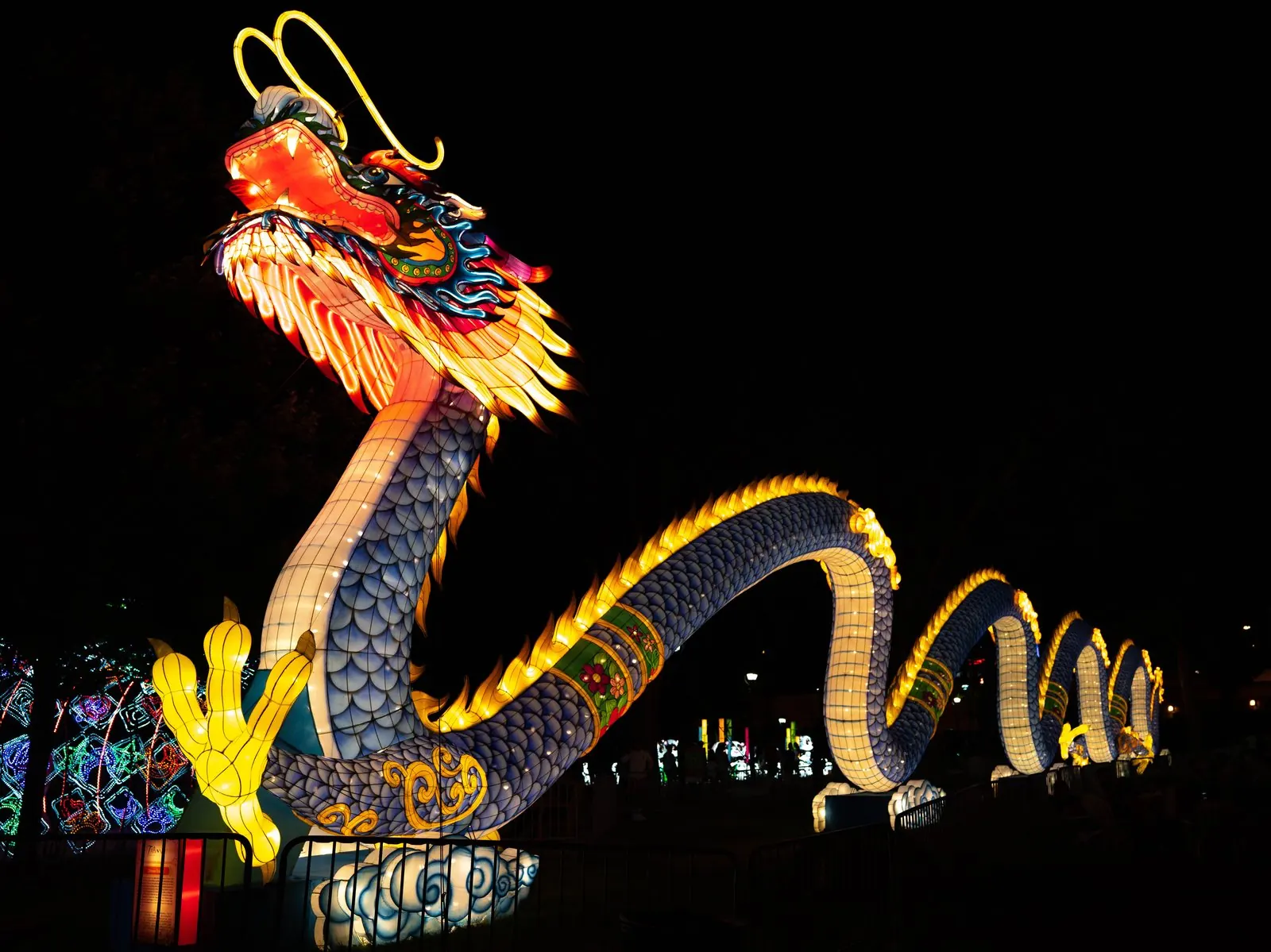Giant dragon lantern display