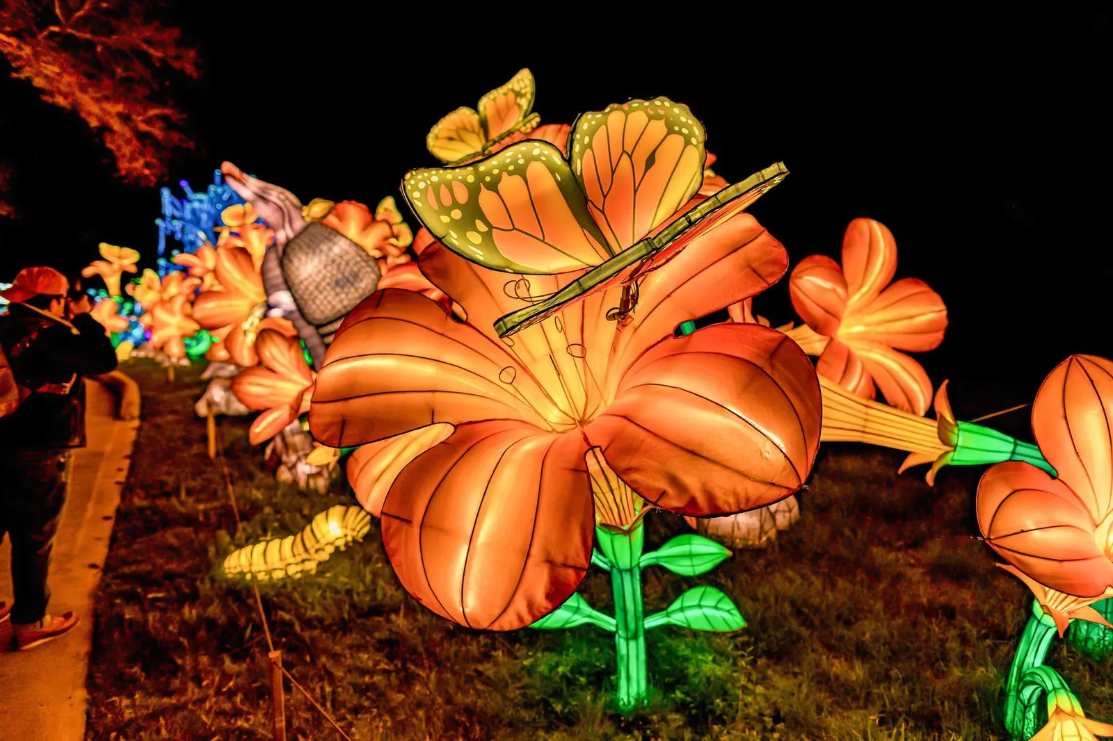 Flower lanterns at night