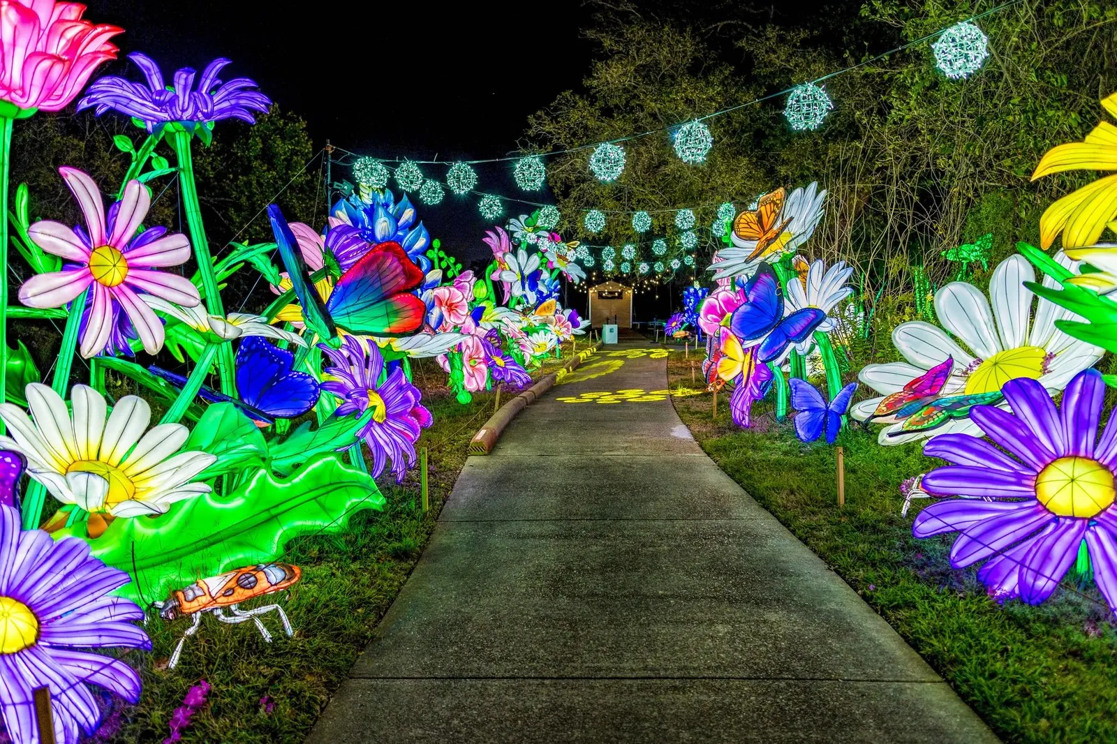 Flower and butterfly light tunnel at an immersive light trail
