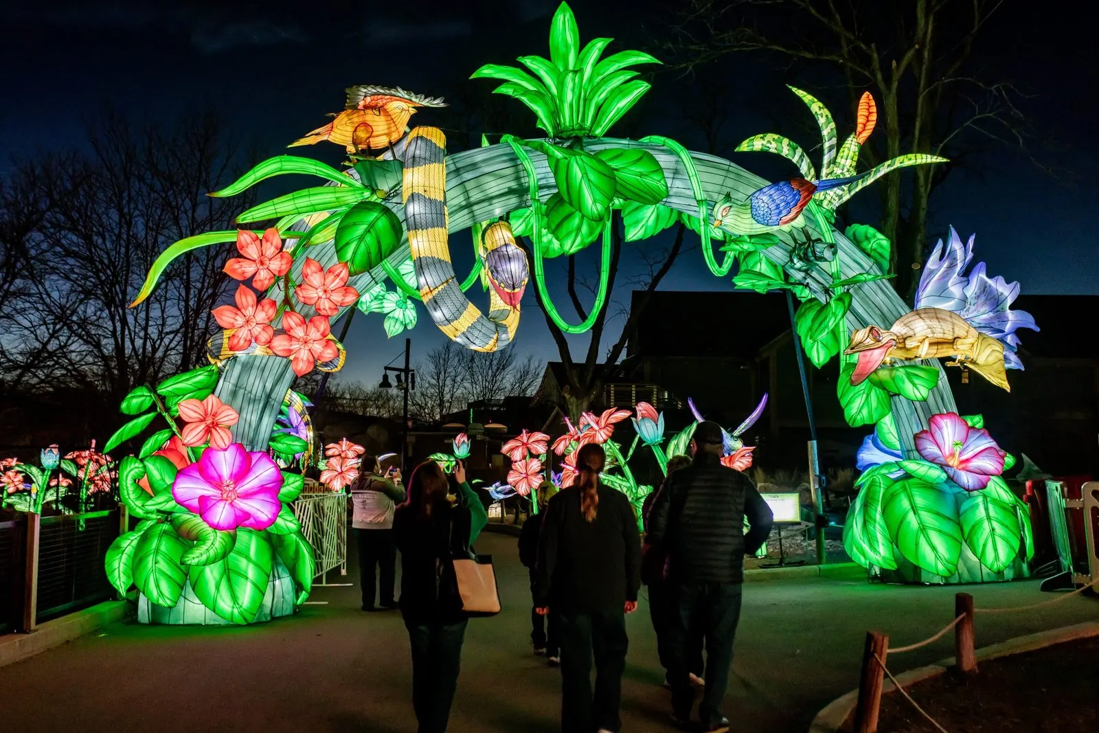 Jungle themed lantern arch with visitors