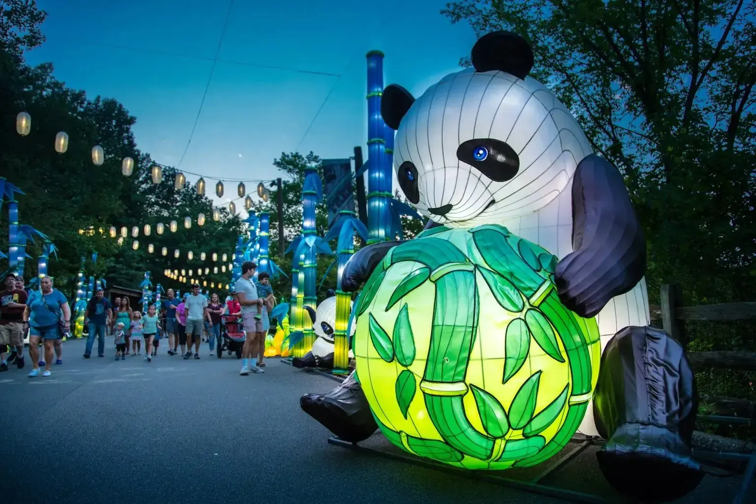 Giant panda lantern display with visitors