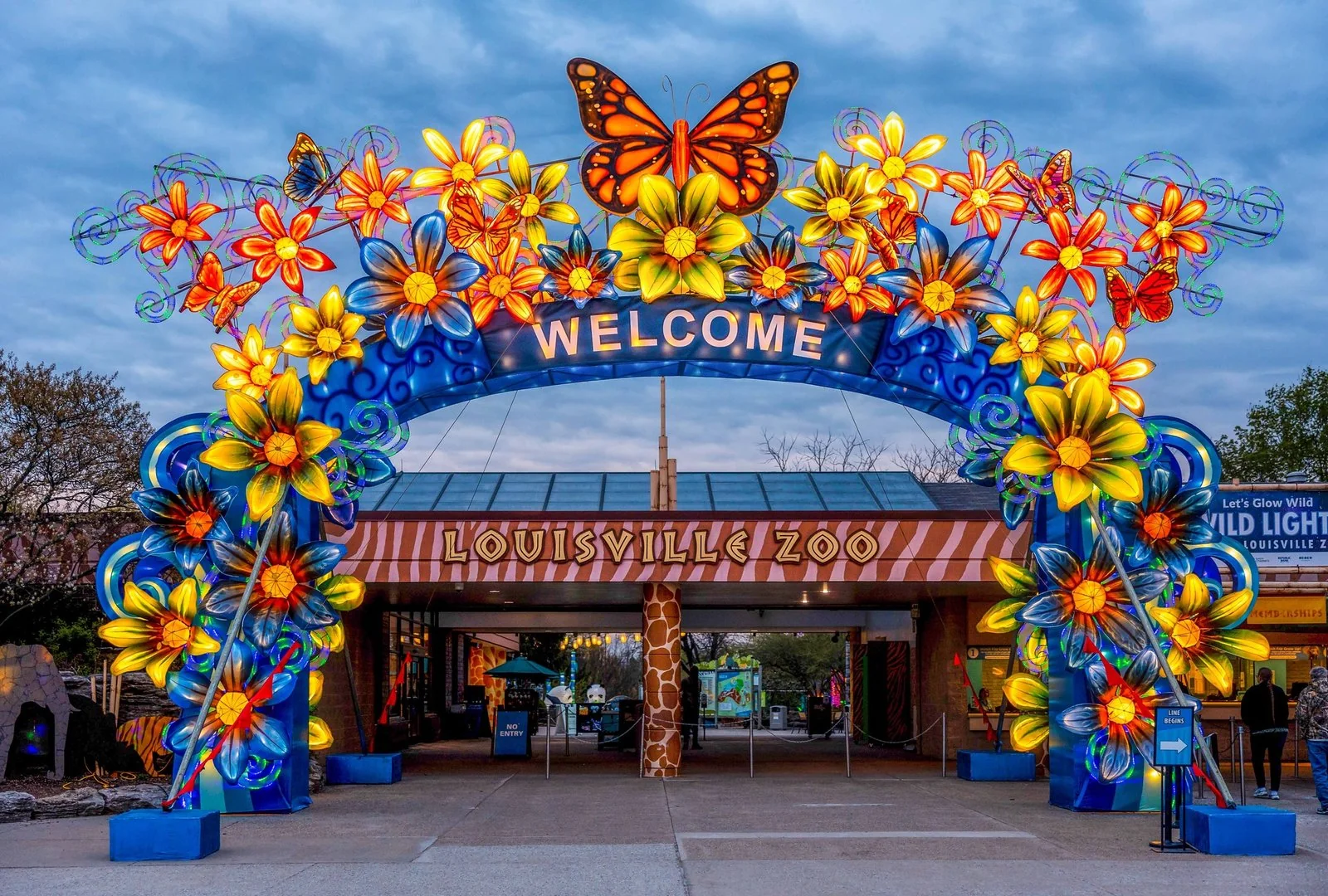 Lantern display at a night tourism destination