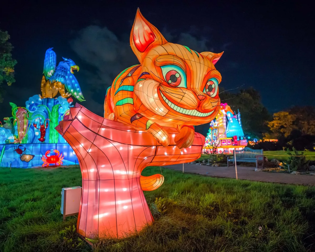 Large illuminated orange cat lantern