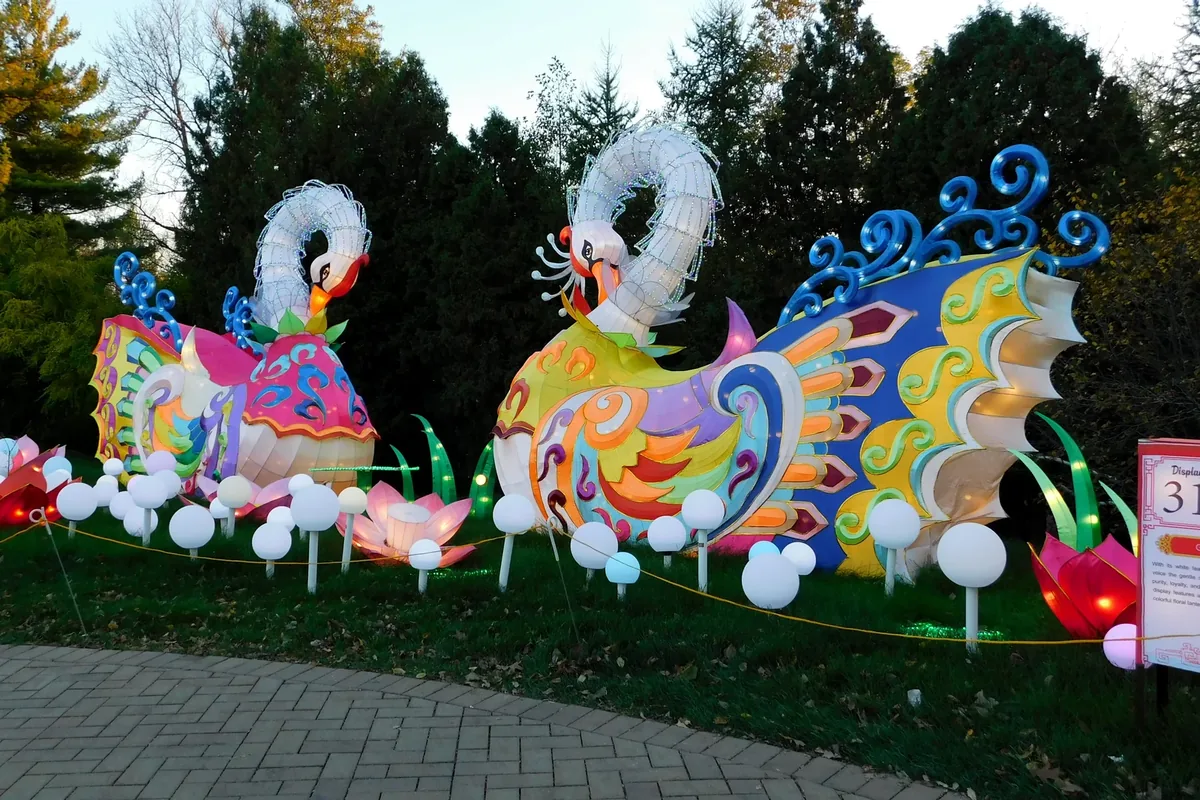 Two large phoenix lanterns displayed outdoors in daylight