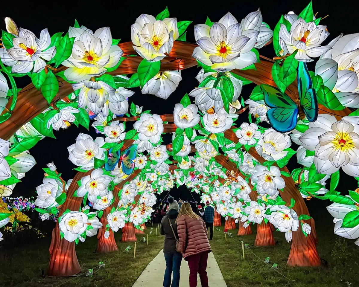 Immersive light tunnel