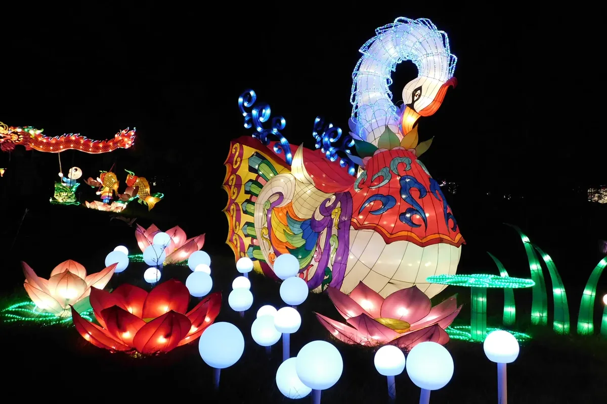 Night lantern display