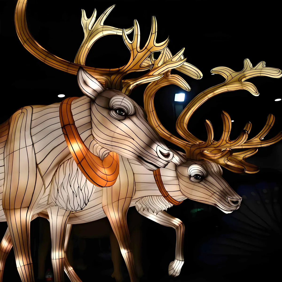 Illuminated reindeer figures in a Christmas lantern display