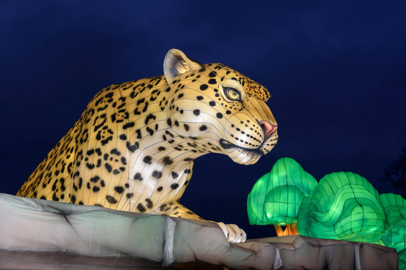 Animal lantern sculptures in a night zoo light trail