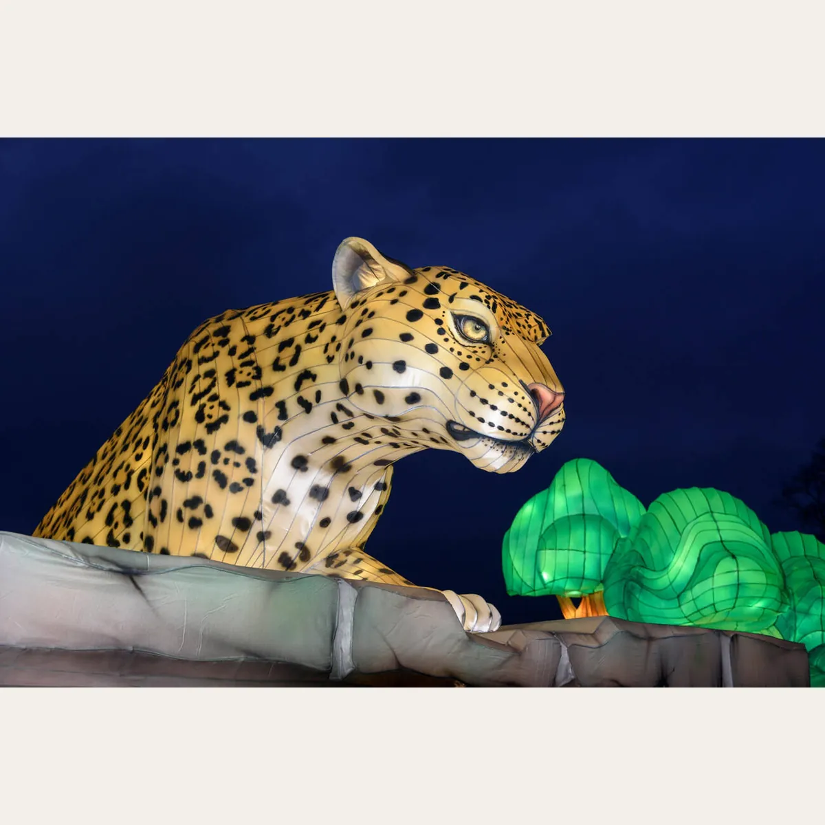 Leopard lantern sculpture in a night zoo light trail